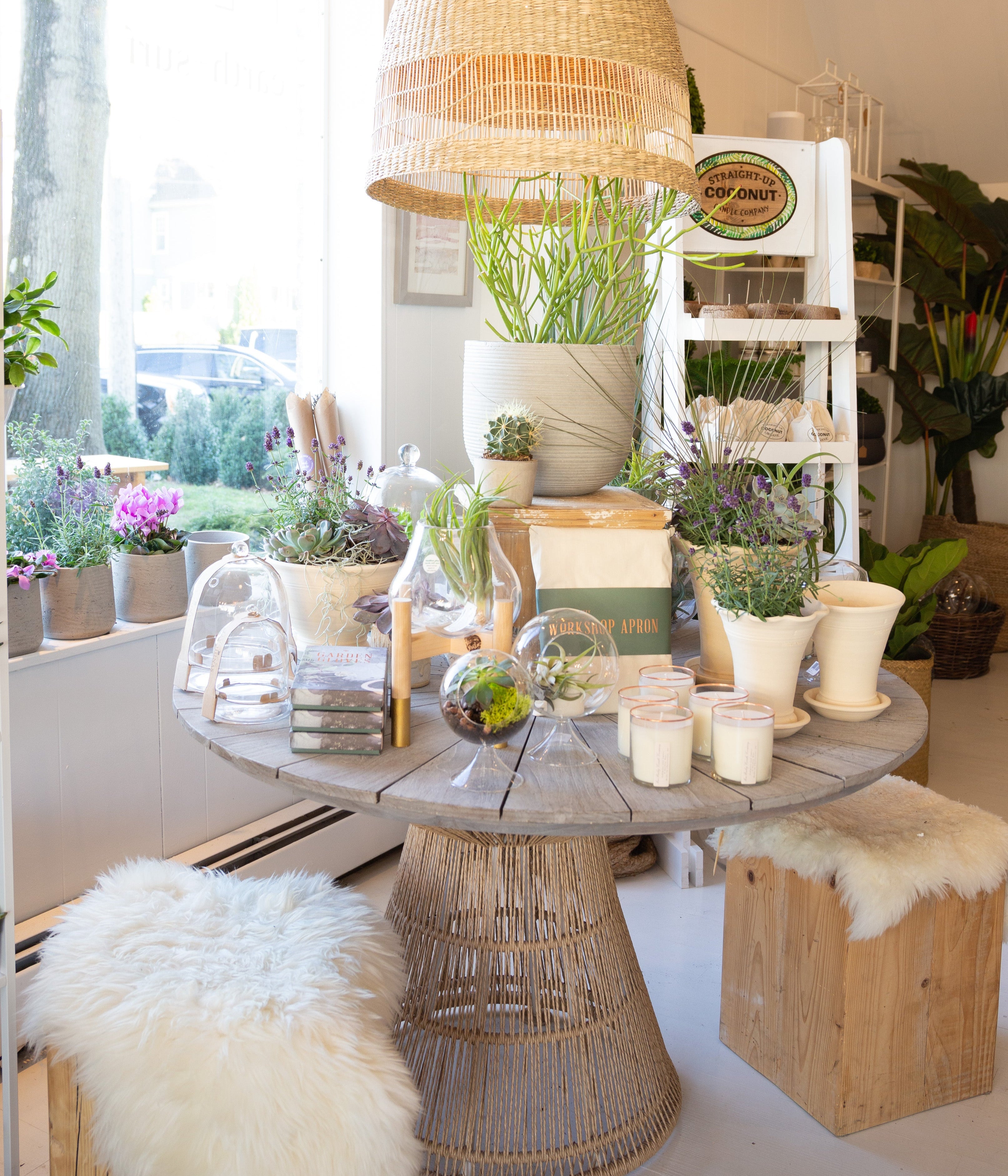Decorative interior with wicker table, chairs, and plants in a bright room.