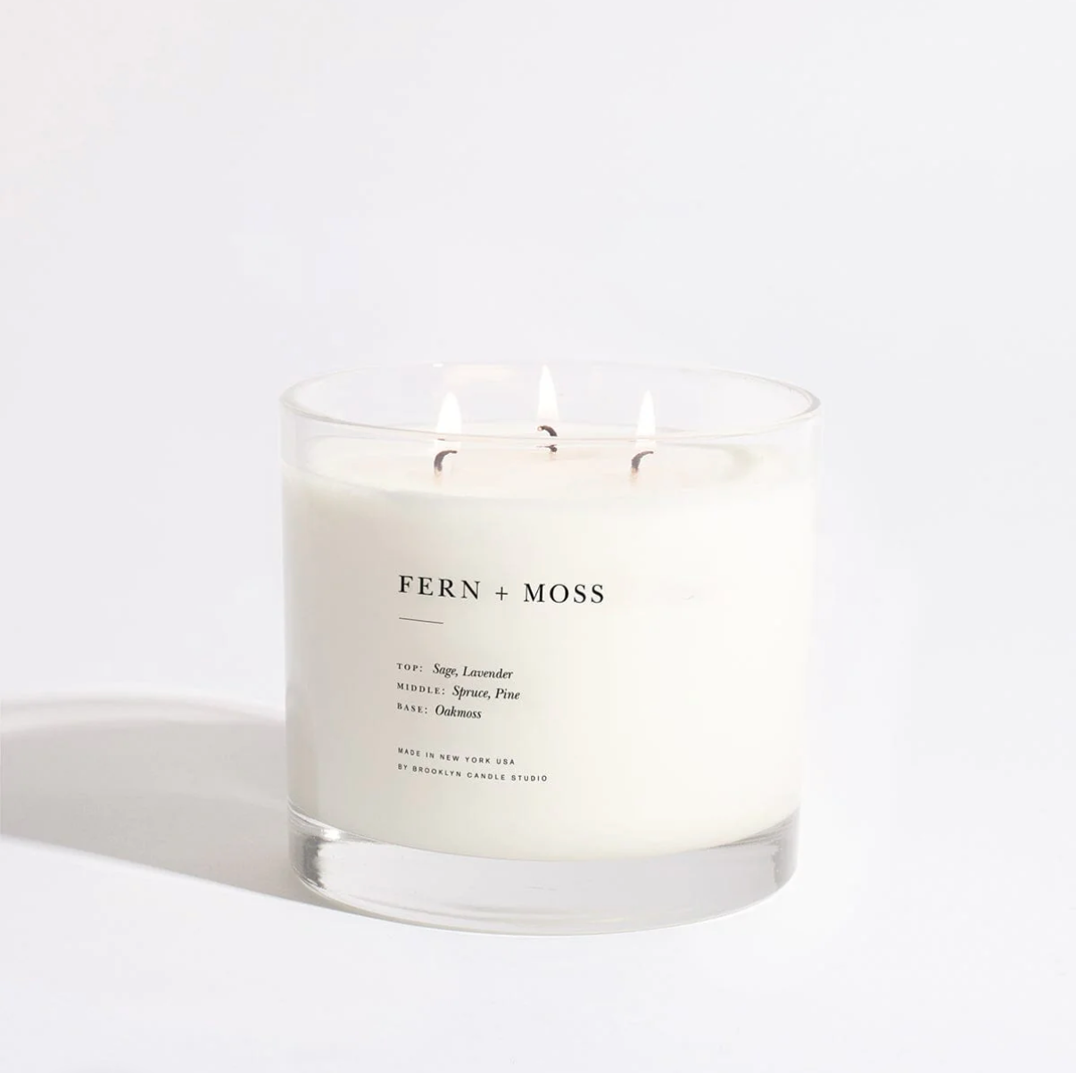 Fern + Moss candle on a white background